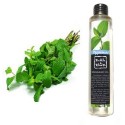 peppermint massage oil 150ml