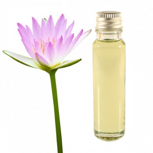 lotus essential oil 25ml