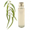 eucalyptus essential oil 25ml