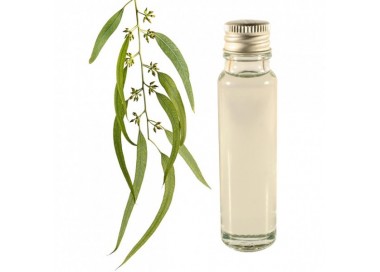 Eucalyptus essential oil 20ml