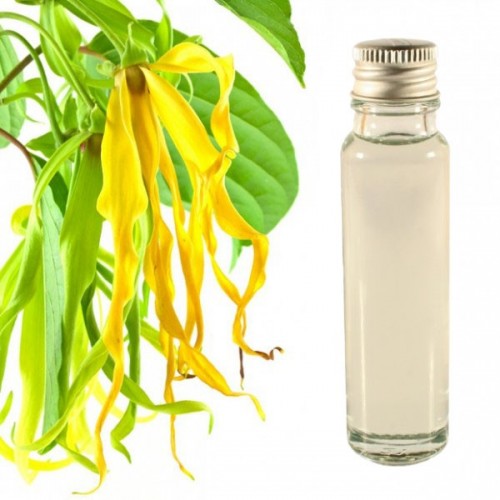 ylang ylang essential oil 25ml