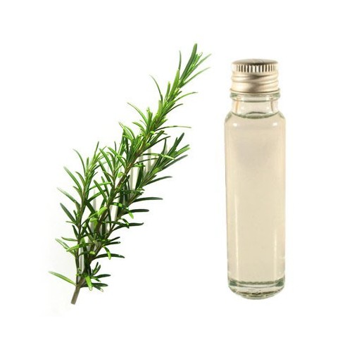 rosemary essential oil 25ml